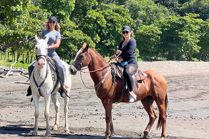 Majestic Horseback Adventure in Jaco, Costa Rica - Tour Details
