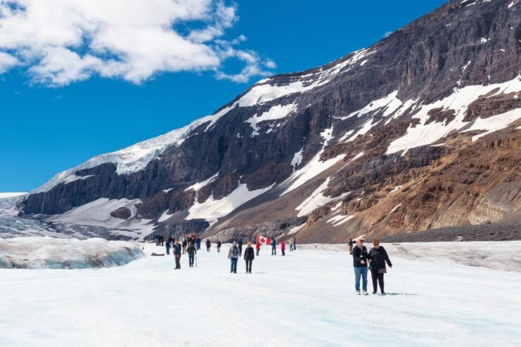 Majestic Icefield Journey: Day Excursion From Calgary - Experience