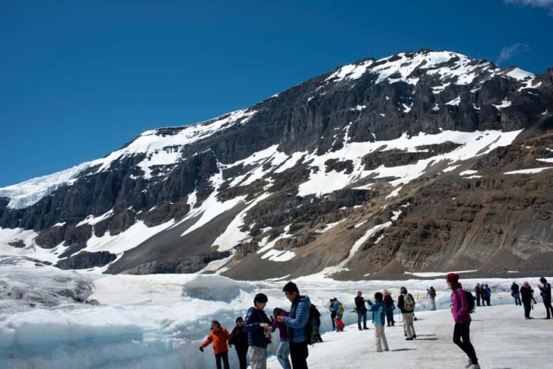 Majestic Icefield Private Day Tour from Calgary - Good To Know