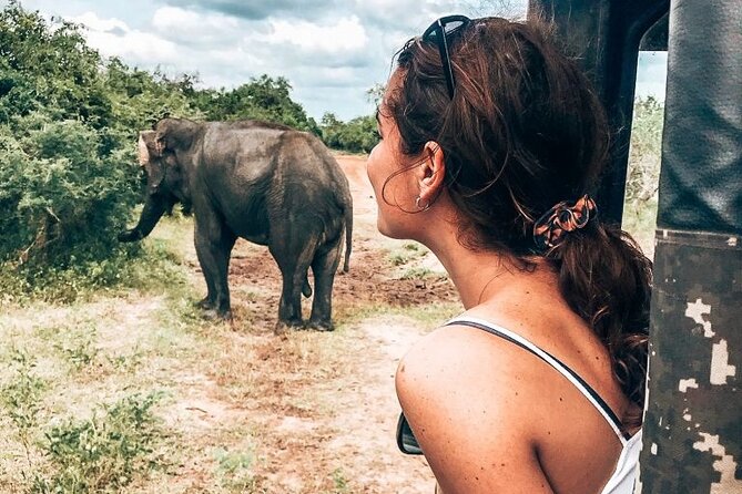 Majestic Mammals Of Sri Lanka: Whale & Elephant Safari Tour - Itinerary Highlights