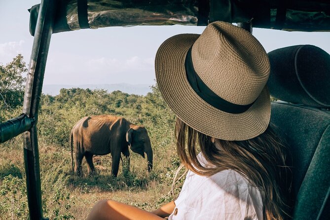 Majestic Mammals Of Sri Lanka: Whale & Elephant Safari Tour - Customer Reviews