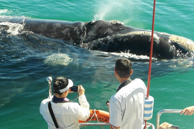 Majestic Mammals Of Sri Lanka: Whale & Elephant Safari Tour - Important Information