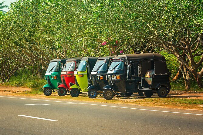 Majestic Sri Lanka in 13 Days All Inclusive VIP Tour by Sithiyam - Exploring the Hill Country & Tea Estates