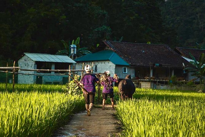 Majesty Of Untouched Northern Vietnam Tour 6 Days - Day 4: Relaxation and Water Activities on Ba Be Lake