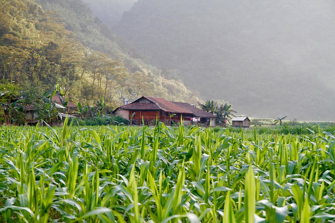 Majesty Of Untouched Northern Vietnam Tour 6 Days - Day 6: Farewell and Departure From Hanoi