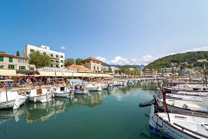 Majorca Island Full Day Tour - Frequently Asked Questions