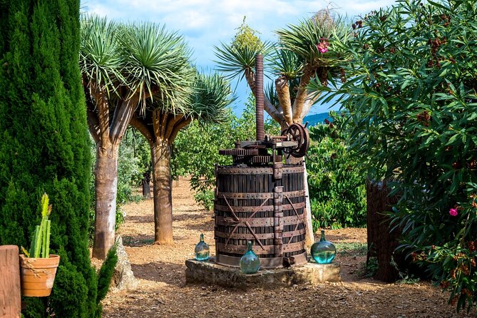 Majorca Winery Visit With Wine & Local Food Tasting From South - Pricing and Booking