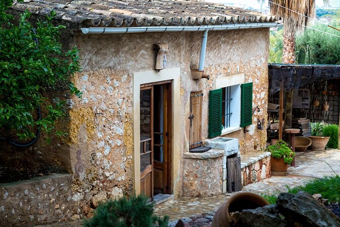 Majorca Winery Visit With Wine & Local Food Tasting From South - Contact Information and Queries