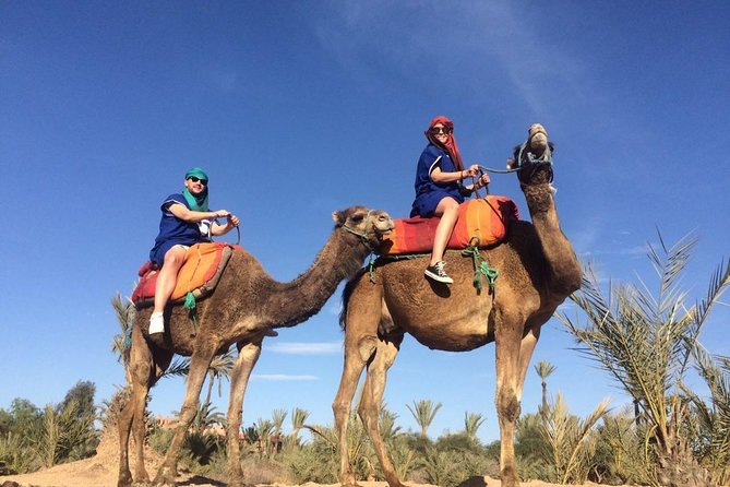 Majorelle Garden and Palmeraie Camel Ride Marrakech - Camel Ride Experience in Palmeraie