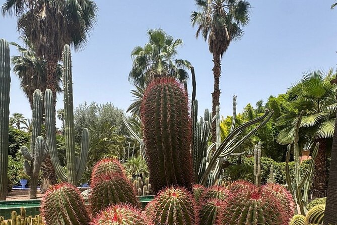 Majorelle Garden, St Laurent and Berber Museum Round Trip Ticket - Cancellation Policy Details