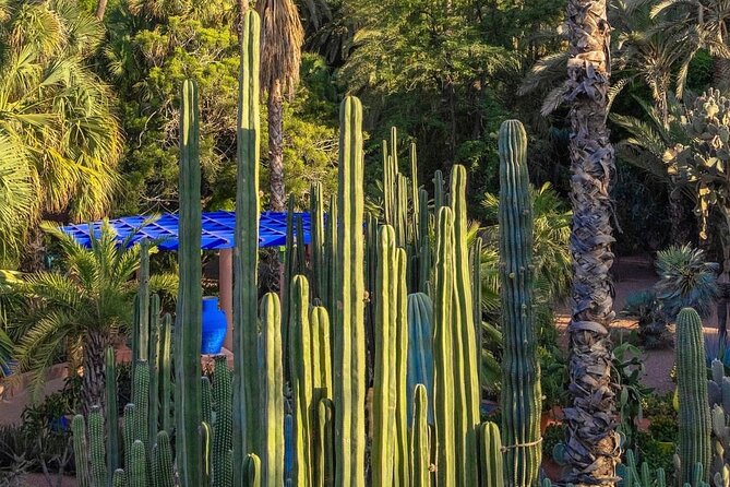 Majorelle Garden, St Laurent and Berber Museum Round Trip Ticket - Reviews Overview