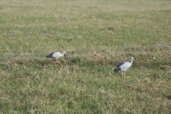 Majuli and Jorhat 4-Day Tour With Accommodation - Customer Reviews