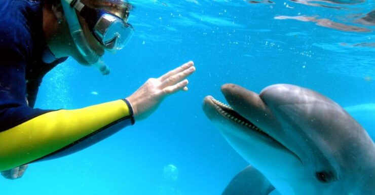 Makadi Bay: Dolphin Watching Boat Tour With Lunch & Drinks - Booking Details and Flexibility