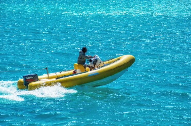 Makadi Bay: Dolphin Watching Boat Tour With Lunch & Drinks - Tour Highlights