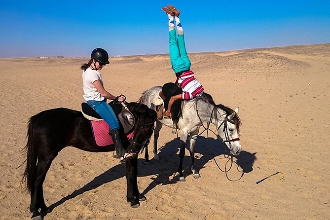 Makadi Bay Horse Ride Tour - Tour Highlights