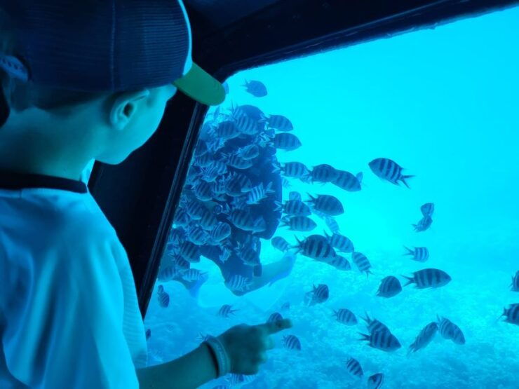 Makadi Bay: Sea Lion Submarine Trip With Snorkeling - Booking Details