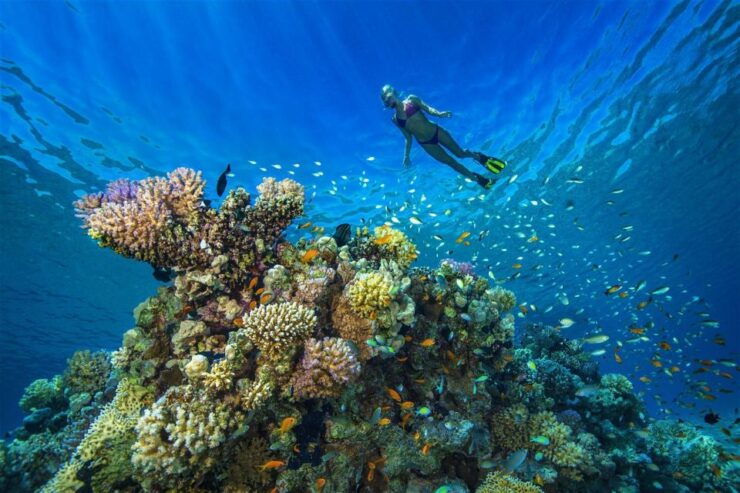 Makadi Bay: Snorkeling Yacht Trip, Water Sports & Lunch - Trip Overview