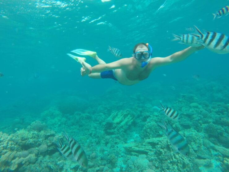 Makadi Bay: Snorkelling and Diving Island Trip - Good To Know