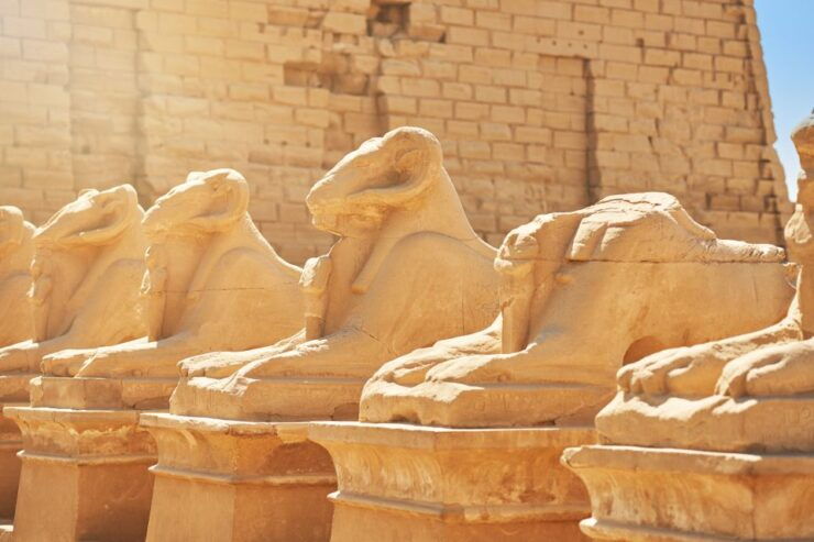 Makadi Bay: Trip to Luxor and Valley of the Kings With Lunch - Booking Details and Flexibility