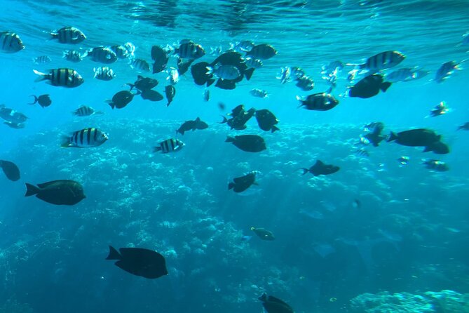 Makadi Underwater Panorama Semi Submarine Experience - Meeting and Pickup