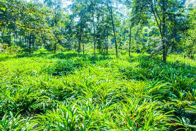 Makalu Base Camp Trek - 15 Days - Fitness and Preparation