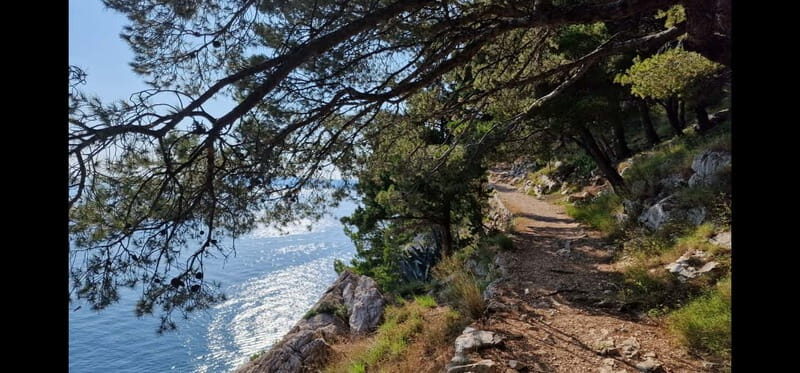 Makarska: Scenic Coastal Hike & Swim Tour - Who Will Love This Tour?
