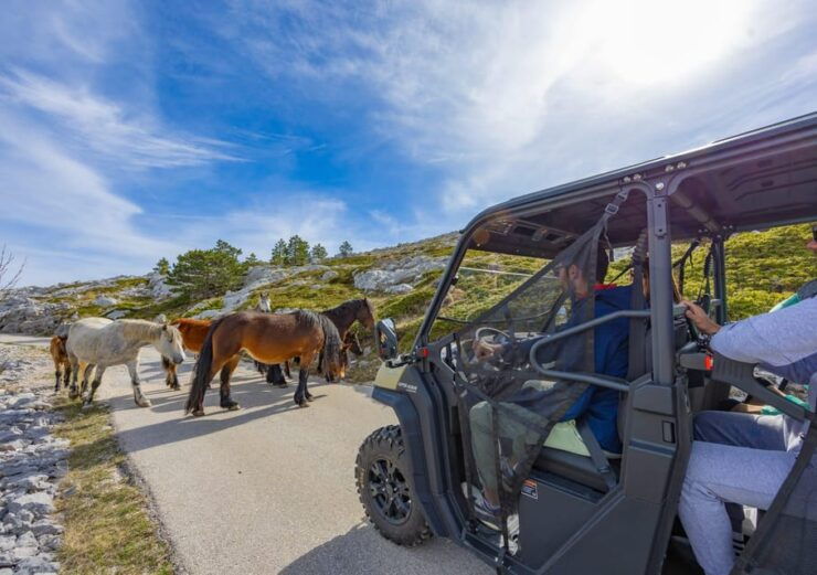 Makarska Skywalk Biokovo Tour - Experience the Skywalk