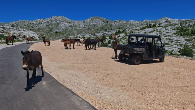 Makarska Skywalk Biokovo Tour - Culinary Delights Included