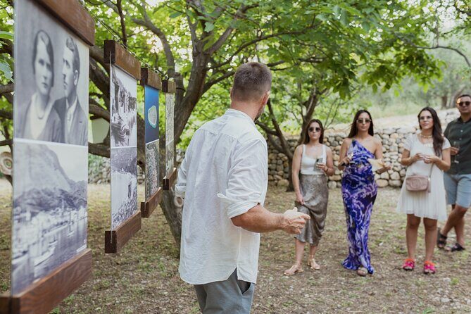 Makarska Tuk Tuk Tour Olive Grove, Scenic Views and Tastings - The Sum Up