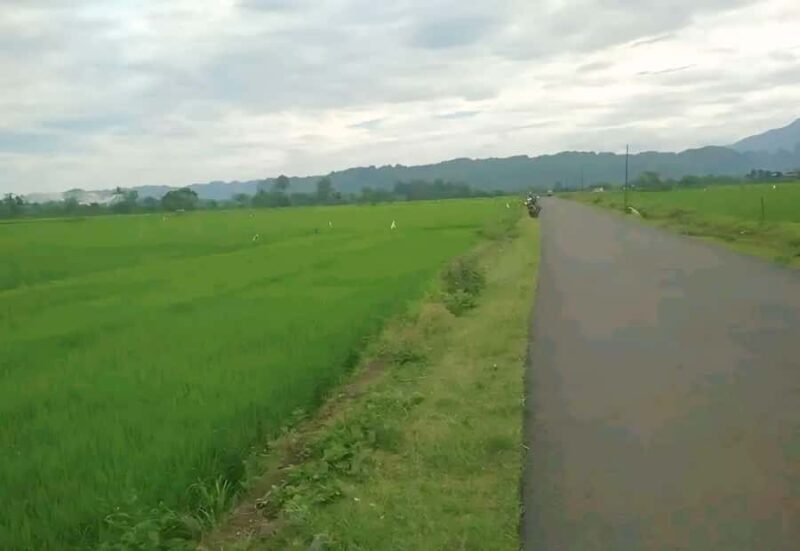 Makassar-Rammang Rammang Cycling, Boating, and walking - An In-Depth Look at the Tour Experience