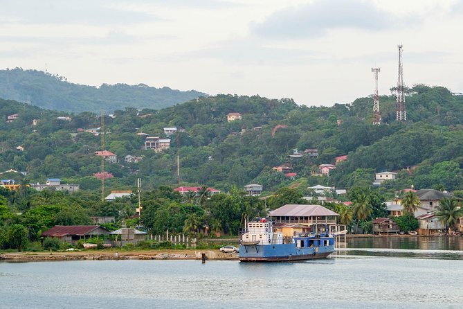 Make Your Day, Your Way Roatan City Freestyle Tour - Tour Highlights