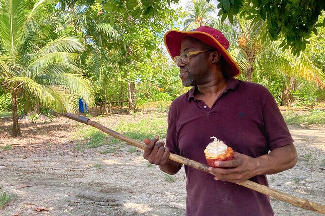 Make your own Bean to Bar Chocolate Factory Tour - Make Your Own Bean to Bar Chocolate Factory Tour: A Detailed Review