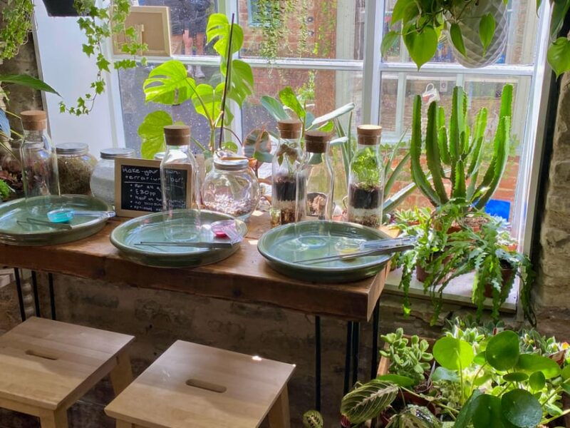 Make Your Own Terrarium in a houseplant paradise - Introduction: A Creative Escape in a Houseplant Wonderland