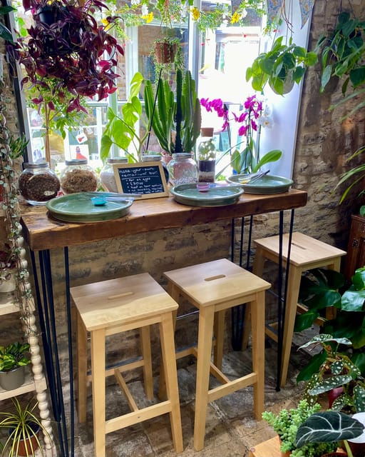 Make Your Own Terrarium in a houseplant paradise - What to Expect During Your Terrarium-Making Session