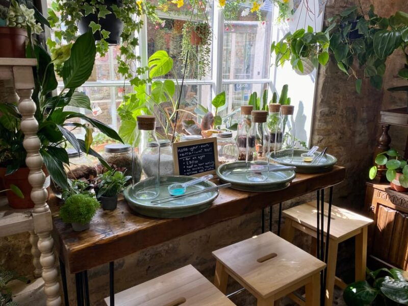 Make Your Own Terrarium in a houseplant paradise - The Setting: A Hidden Houseplant Paradise