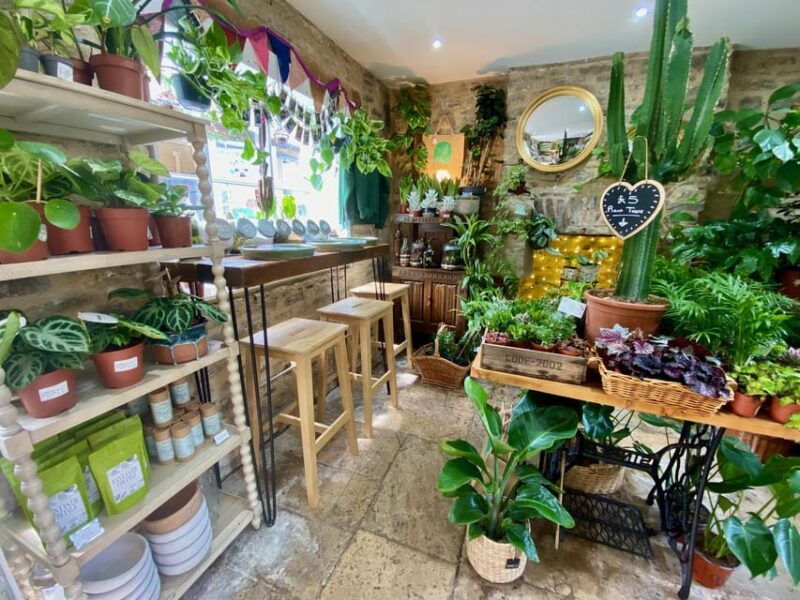 Make Your Own Terrarium in a houseplant paradise - Practical Details: What You Need to Know