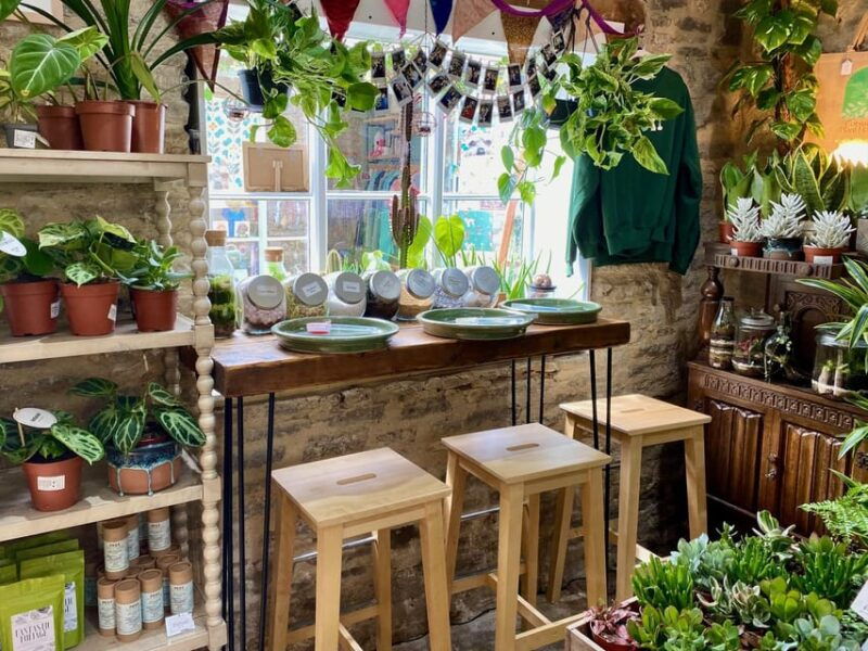 Make Your Own Terrarium in a houseplant paradise - FAQ