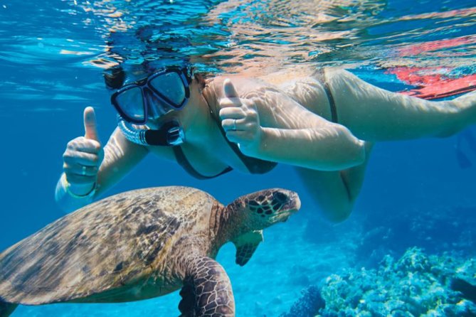 Makena Turtle Town Eco Adventure in Maui - Traveler Photos and Reviews