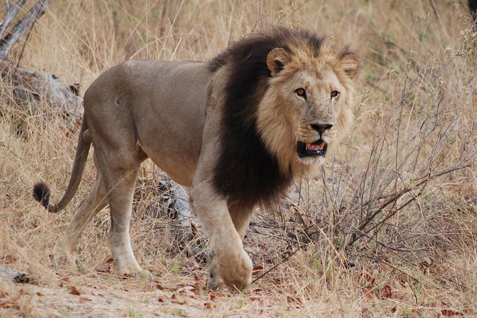 Makgadkgadi Pans - Central Kalahari Adventure 7 Nights/ 8 Days - Good To Know