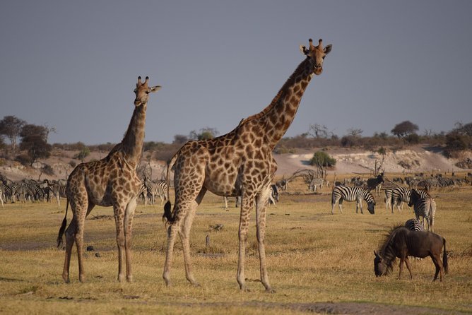 Makgadkgadi Pans - Central Kalahari Adventure 7 Nights/ 8 Days - Itinerary Highlights