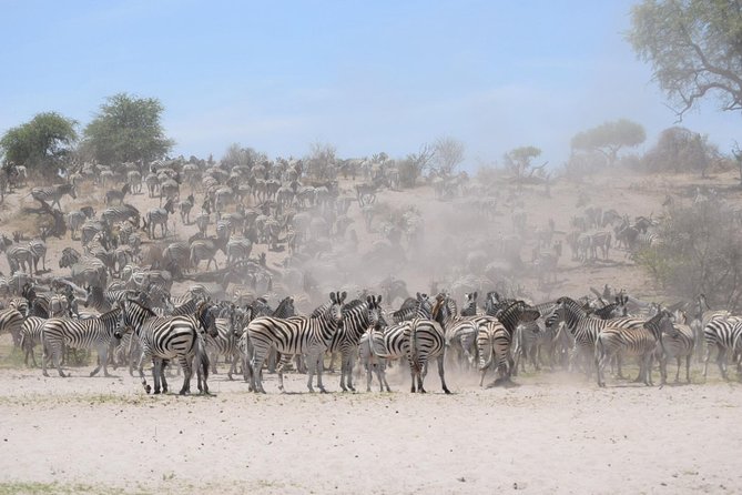 Makgadkgadi Pans - Central Kalahari Adventure 7 Nights/ 8 Days - Accommodation Details