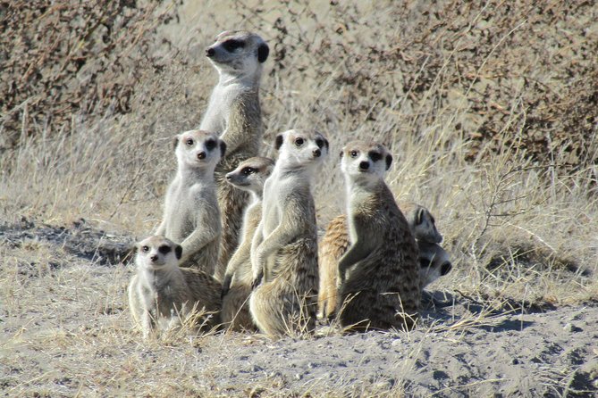 Makgadkgadi Pans - Central Kalahari Adventure 7 Nights/ 8 Days - Booking Information