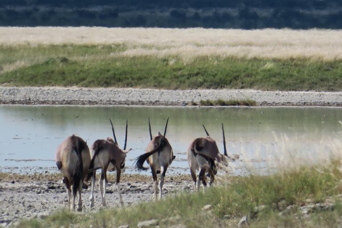 Makgadkgadi Pans - Central Kalahari Adventure 7 Nights/ 8 Days - Frequently Asked Questions
