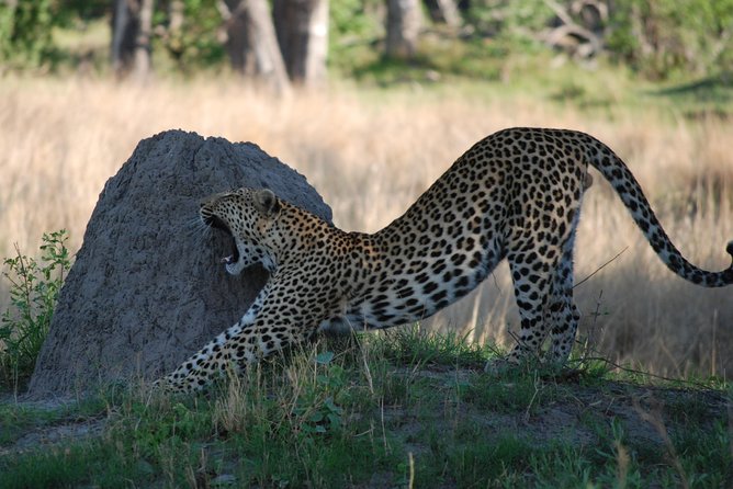 Makgadkgadi Pans - Central Kalahari Adventure 7 Nights/ 8 Days - The Sum Up