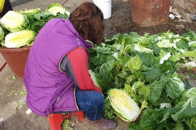 Making Kimchi at a Country Farm Near Busan for the Month of November - Meeting and Pickup