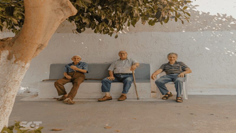 Makrigialos-Ierapetra: Hidden Villages & Olive Oil Farm Tour - Final Thoughts: Who Will Love This Tour?