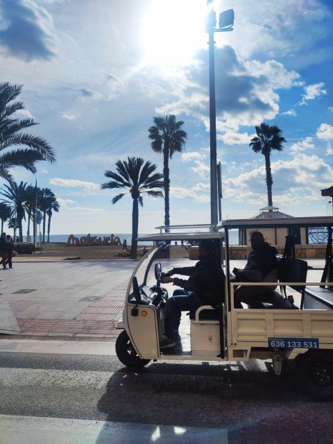 Málaga 1-hour by TukTuki: Essential and Private Tour - Important Information