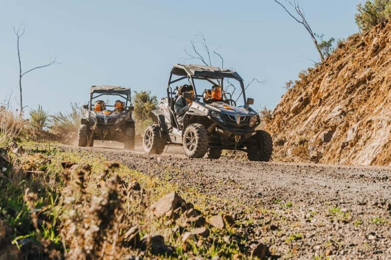 Málaga: 1-Hour Off-Road Buggy Adventure in Mijas - Authenticity & Traveler Insights
