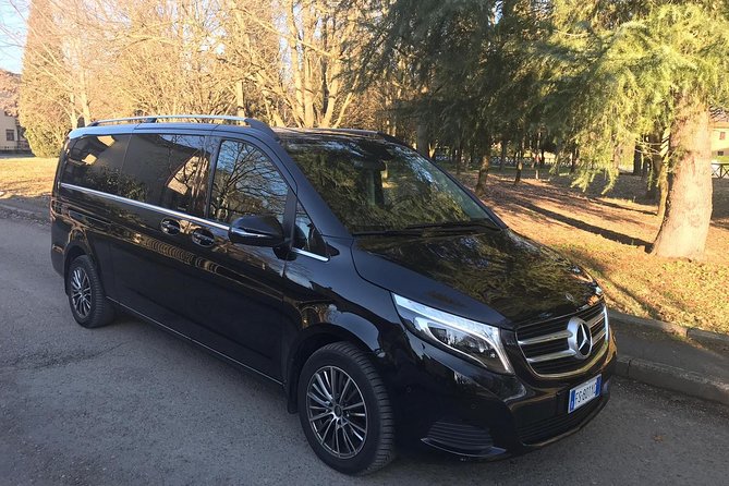 Malaga Airport (AGP) to Marbella - Round-Trip Private Van Transfer - Reviews