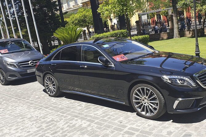 Malaga Airport (Costa Del Sol) Private Arrival Transfer - Common Questions